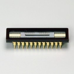 滨松 背照式CCD面阵传感器 S10420-1006-01