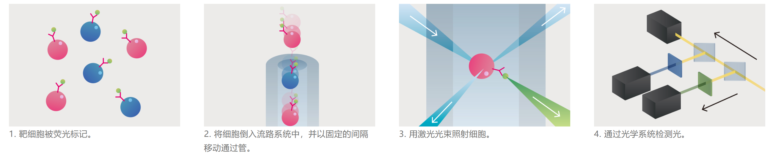 1-250G0115123605.png