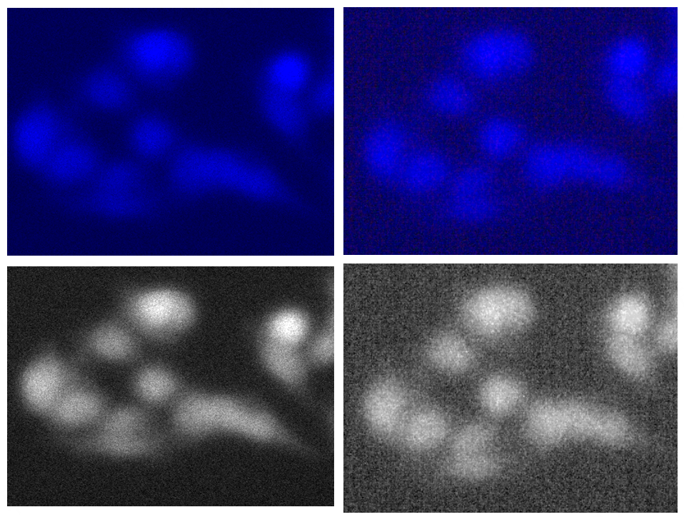 黑白相机与彩色相机的成像优势分析以及常见的误区说明(图4) 1-251202111031V6.png