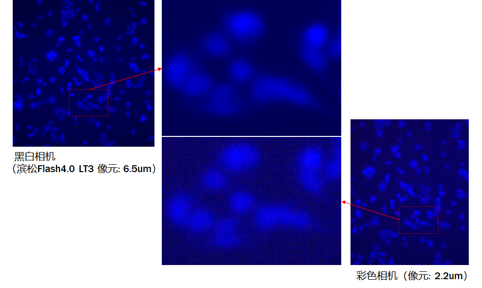 黑白相机与彩色相机的成像优势分析以及常见的误区说明(图5) 1-25120211113GQ.png
