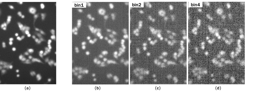 黑白相机与彩色相机的成像优势分析以及常见的误区说明(图6) 1-251202111214534.png